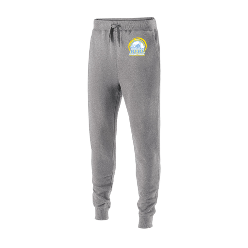 [229548.017.XS-LOGO1] Men's 60/40 Fleece Jogger (Adult XS, Silver, Logo 1)